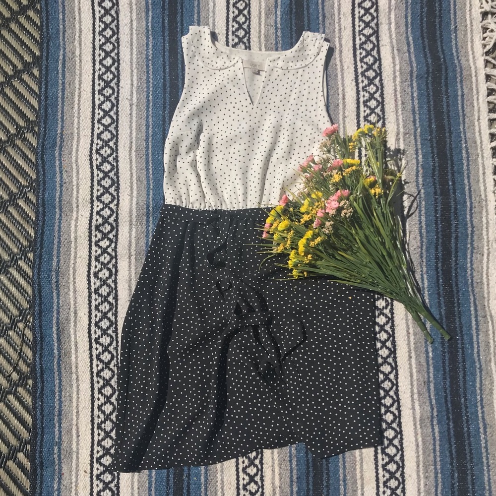 Ann Taylor LOFT - Petite Polka-dotted Dress